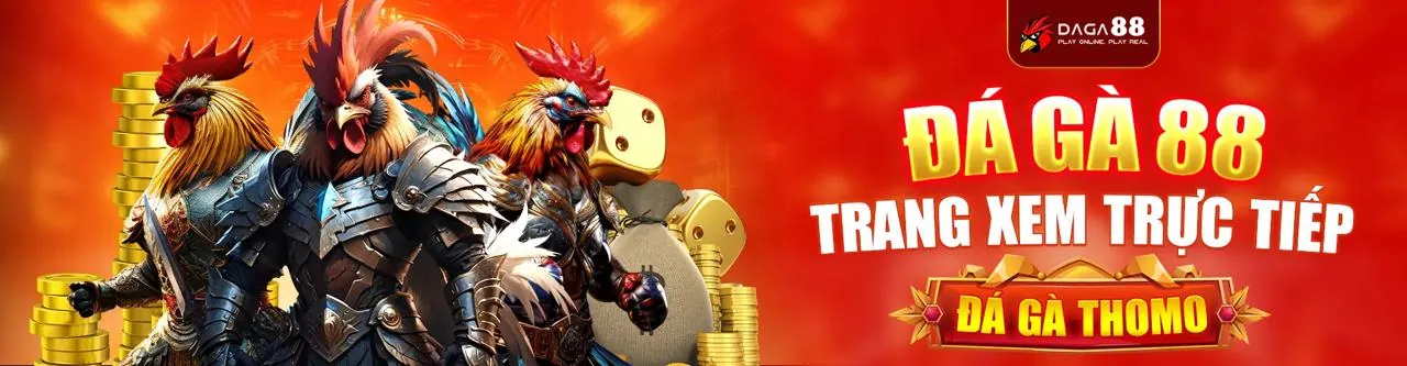 b9casino sử dụng công nghệ mã hóa và tường lửa để bảo vệ dữ liệu